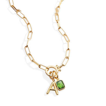 Paperclip Necklace with Initial & Birthstone Charm
