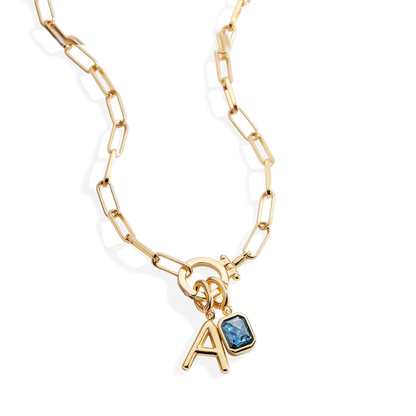 Paperclip Necklace with Initial & Birthstone Charm