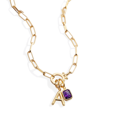 Paperclip Necklace with Initial & Birthstone Charm