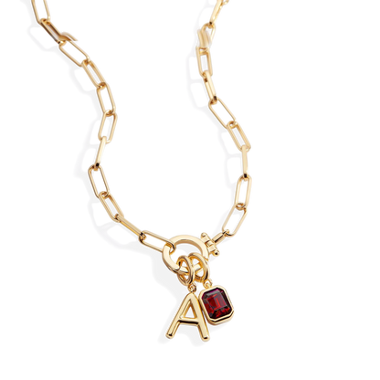 Paperclip Necklace with Initial & Birthstone Charm