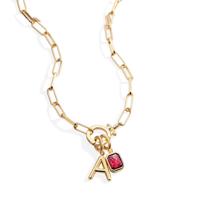 Paperclip Necklace with Initial & Birthstone Charm