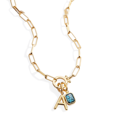 Paperclip Necklace with Initial & Birthstone Charm