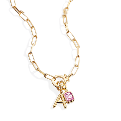 Paperclip Necklace with Initial & Birthstone Charm