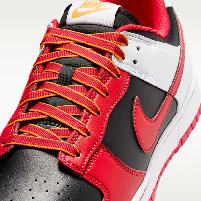 Dunk Low Retro Men's Shoes