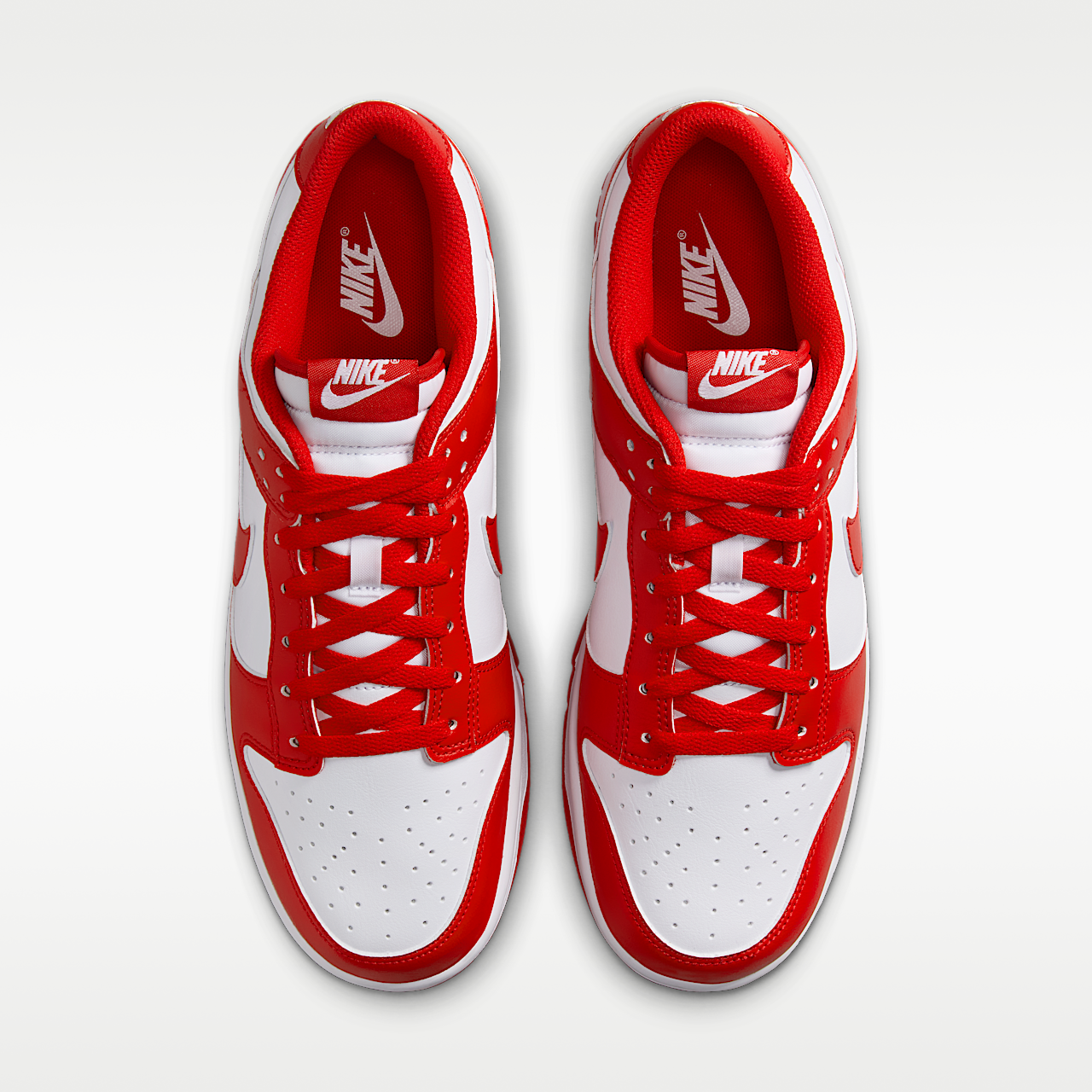 Dunk Low Retro Men's Shoes