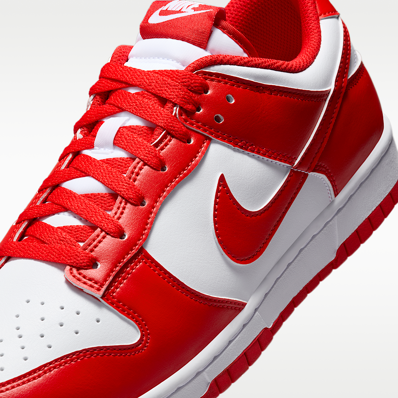 Dunk Low Retro Men's Shoes