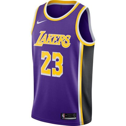 LeBron James Los Angeles Lakers 2018/19 Swingman Jersey - Icon Edition