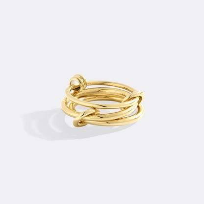 Linked Statement Fidget Ring