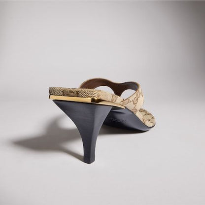Women's Vittoria Thong