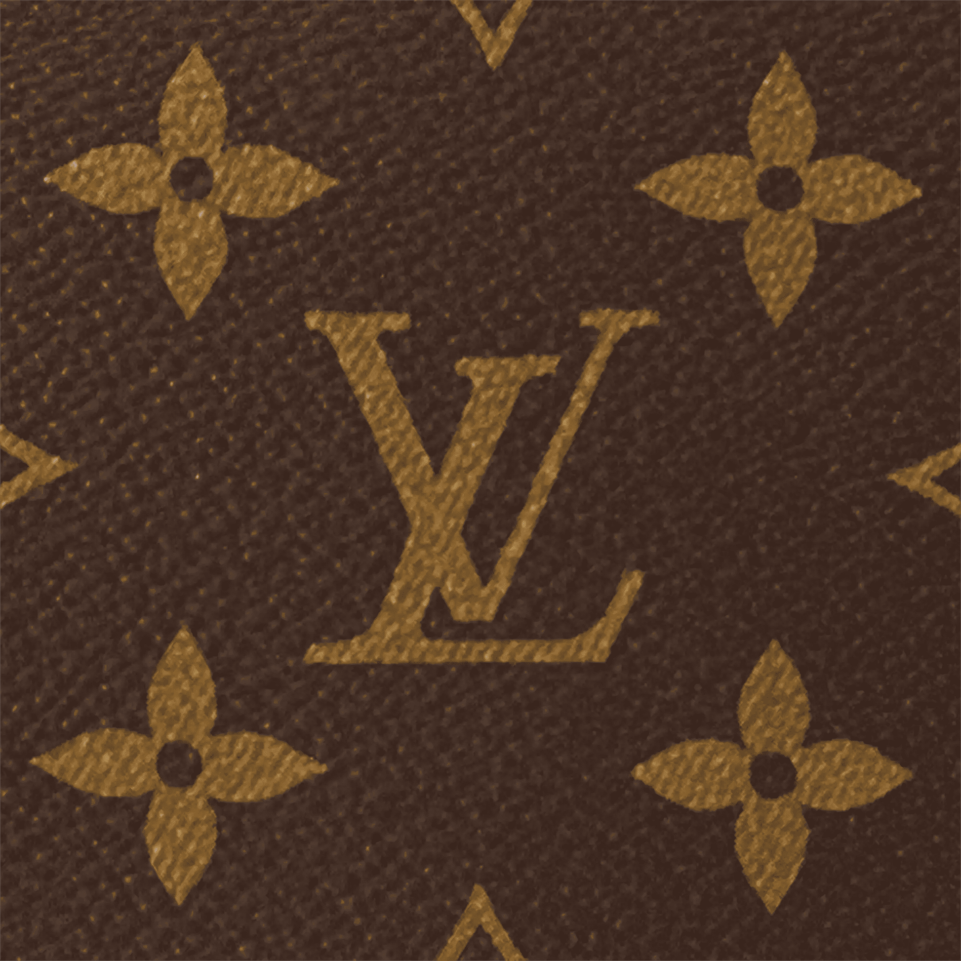 Women's Loop Hobo Monogram Coated Canvas Bag M46311