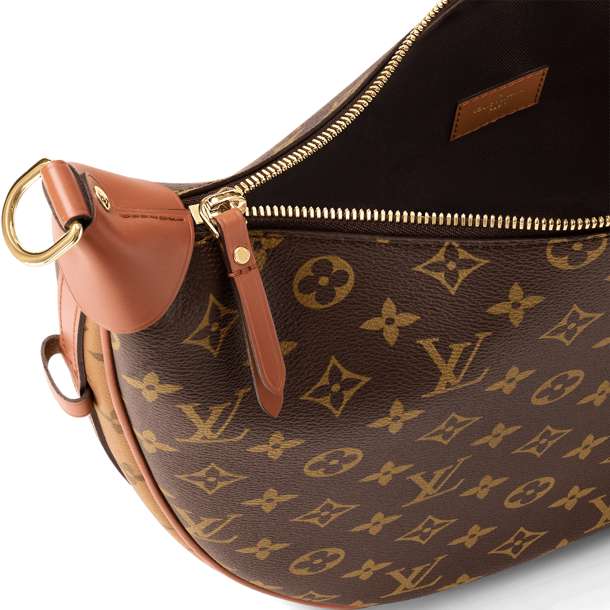 Women's Loop Hobo Monogram Coated Canvas Bag M46311