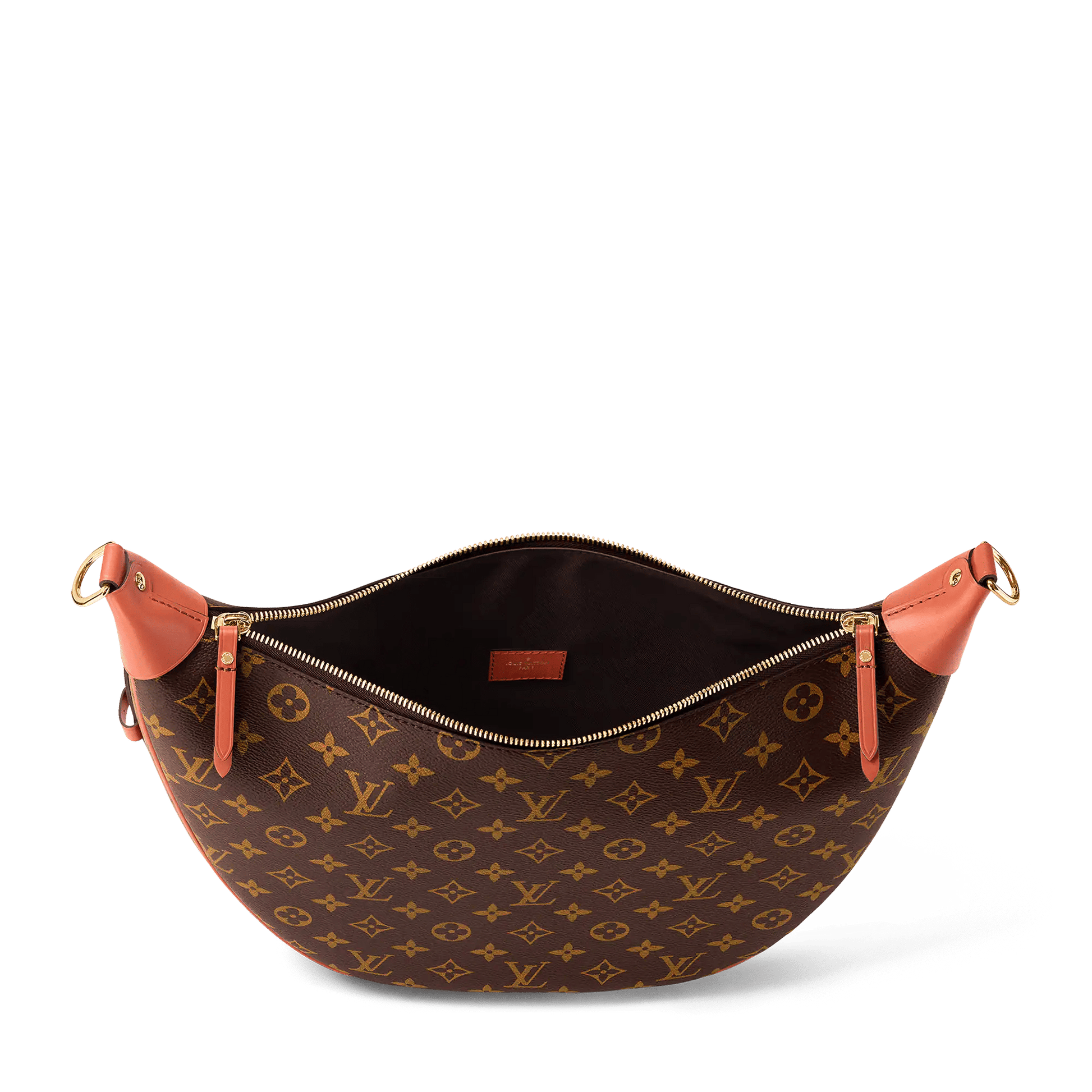 Women's Loop Hobo Monogram Coated Canvas Bag M46311