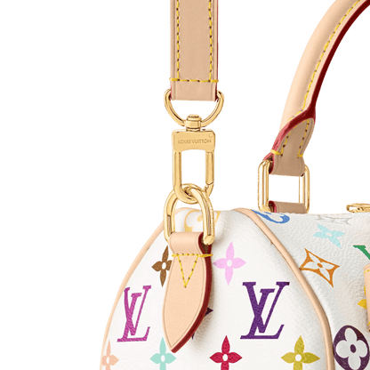 Women's Speedy Bandoulière 25 Colorful Monogram Canvas Handbag M13085