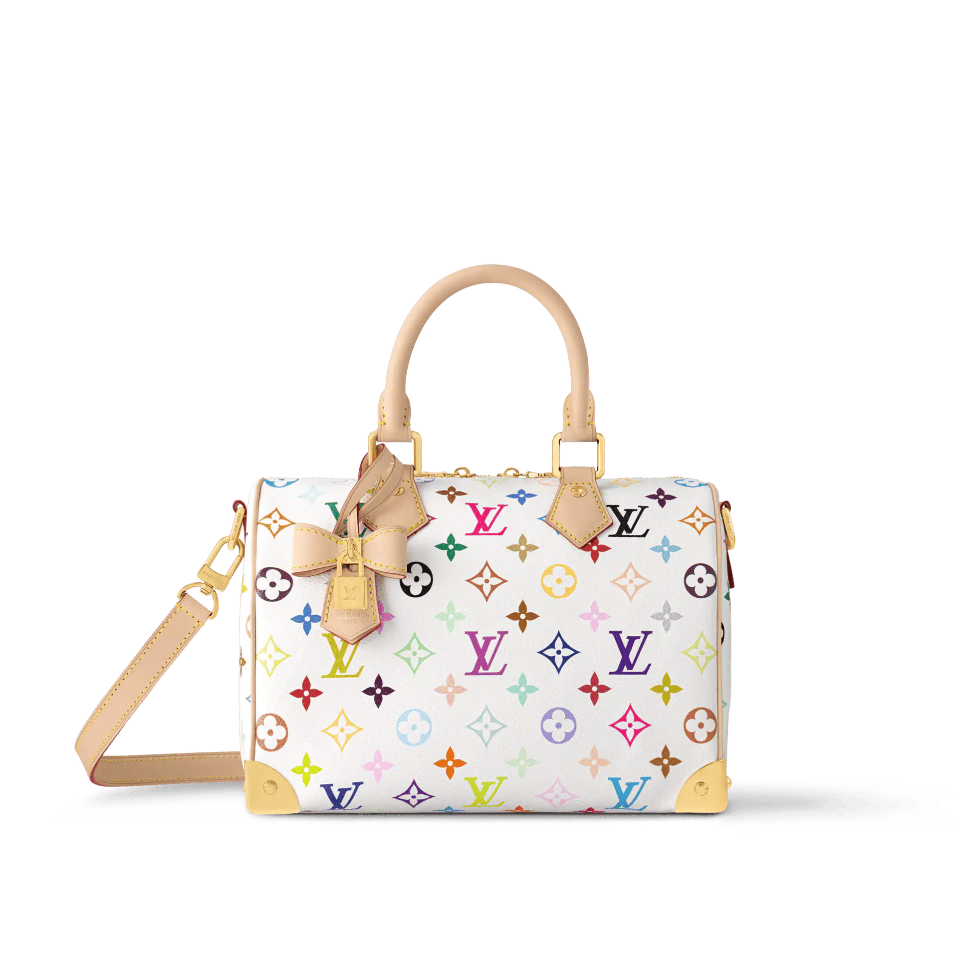 Women's Speedy Bandoulière 25 Colorful Monogram Canvas Handbag M13085