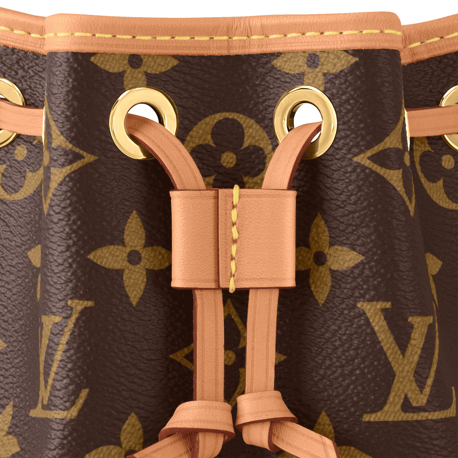Nano Noé Monogram Coated Canvas Gold-Toned Hardware