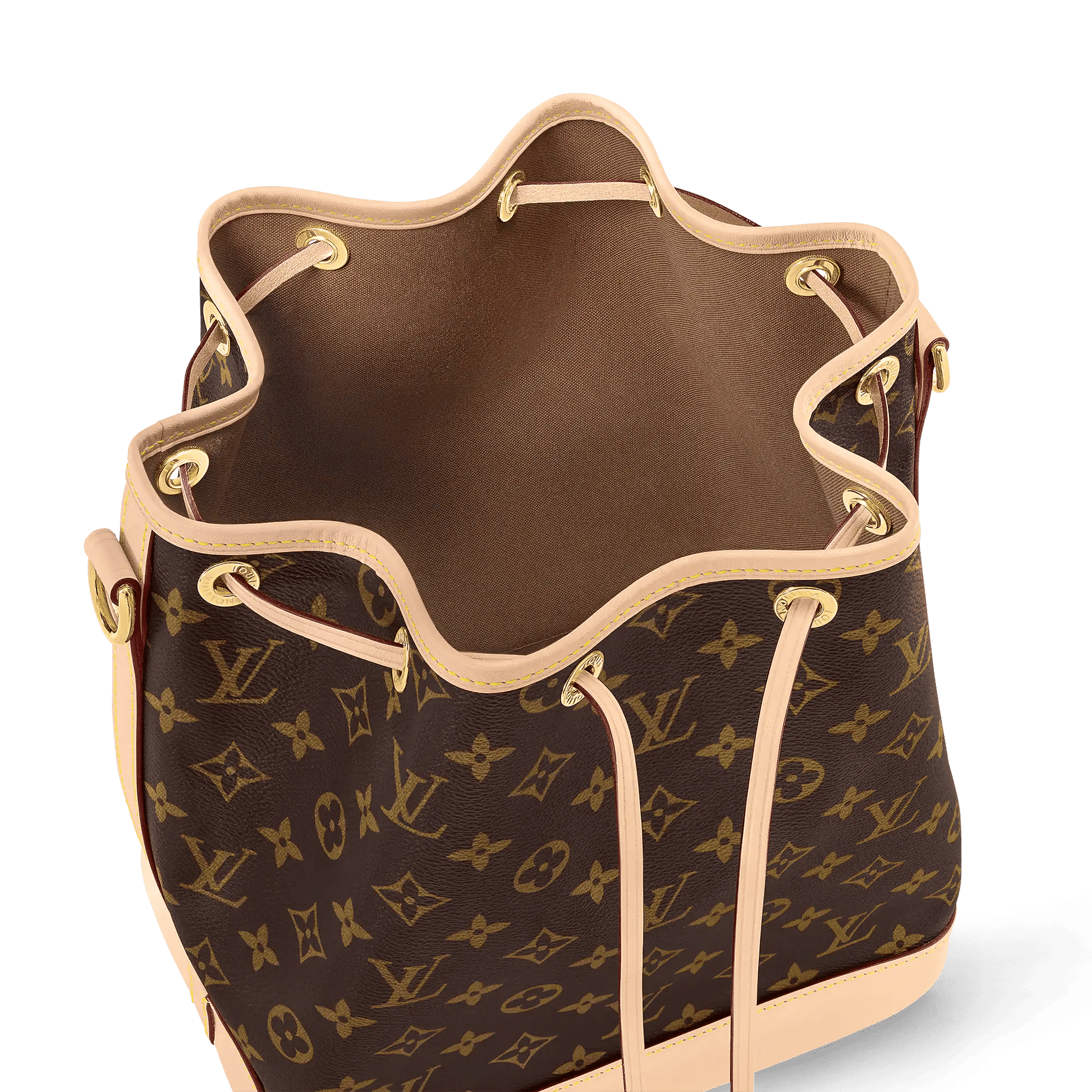 Petit Noé Monogram Coated Canvas Gold-Toned Hardware
