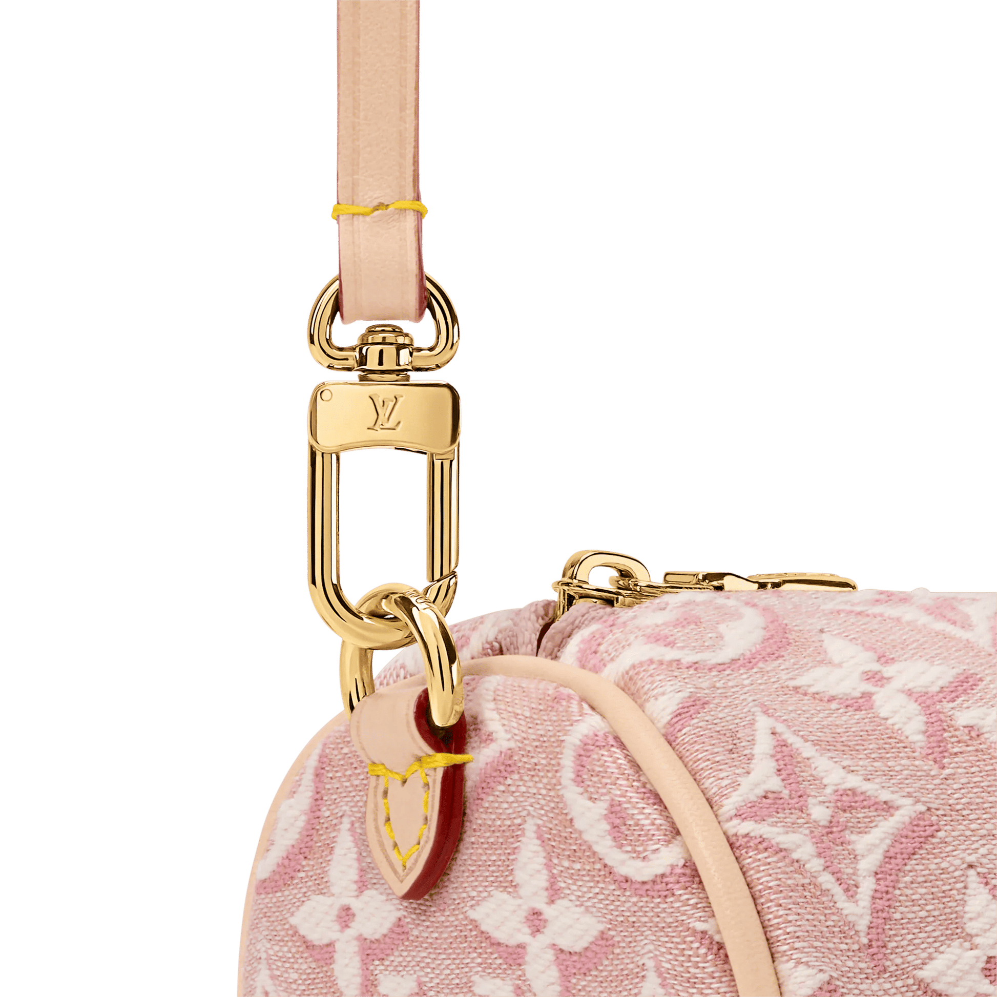 Women's Pochette Papillon Monogram Emblème Rose Ruban Nano Bag