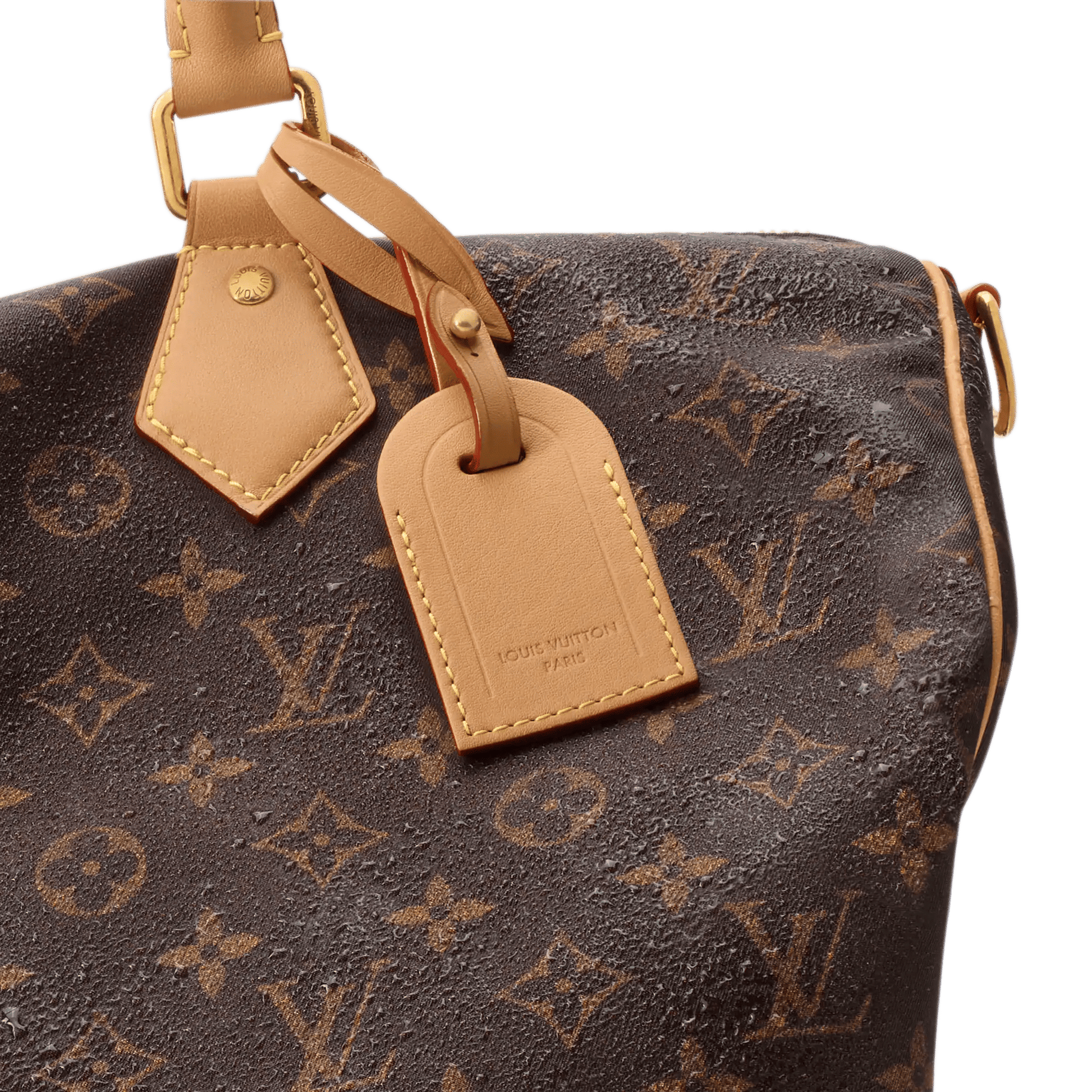 Men's Speedy 40 Bandoulière MM Silk Tech Tote